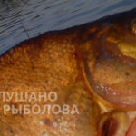 leshh-i-podleshhik