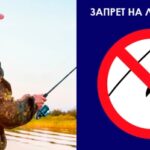 ribalka-v-nerest