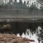 Рыбалка на мрачном лесном озере и его неизвестный обитатель